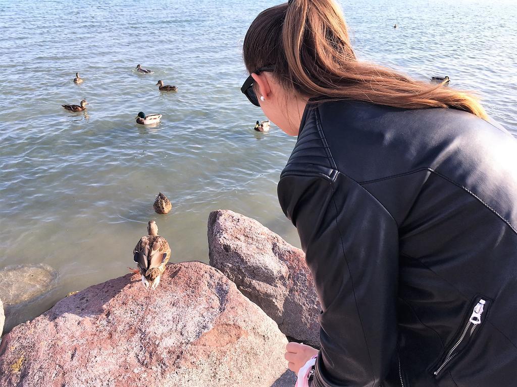 Tulipan Apartman Balatonalmadi Bagian luar foto